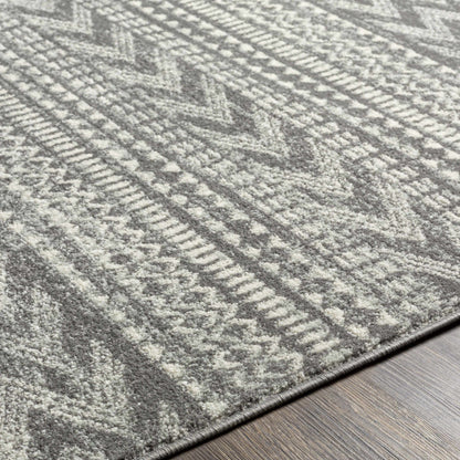 Tevazu TVZ-2384 Machine Woven Rug