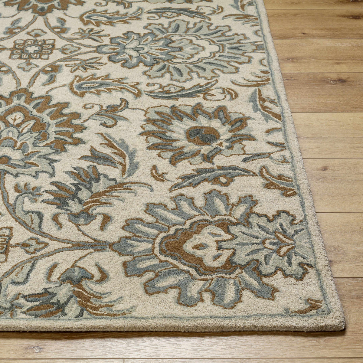 Rugs : CAE-1229