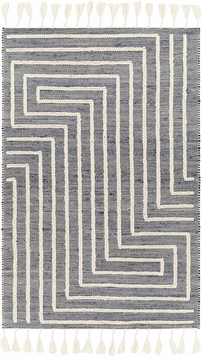 Norwood NWD-2306 Hand Woven Rug