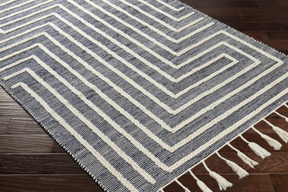 Norwood NWD-2306 Hand Woven Rug