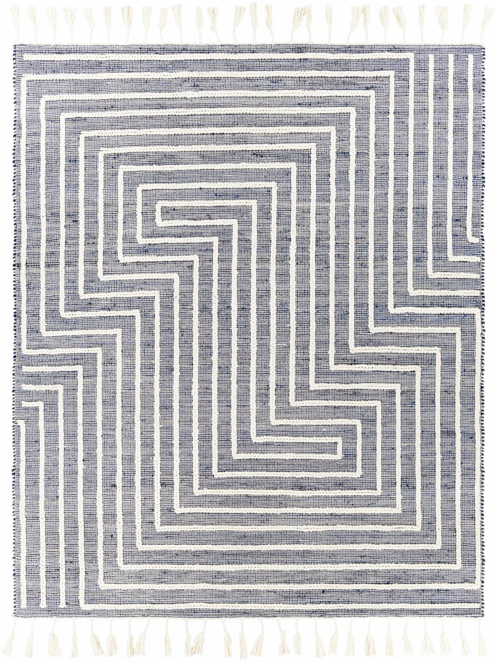 Ink Blue Hand Woven 60% Jute, 40% Wool Global Rectangle Handmade rug, Indoor use only, has fringe, non-washable. runner also available