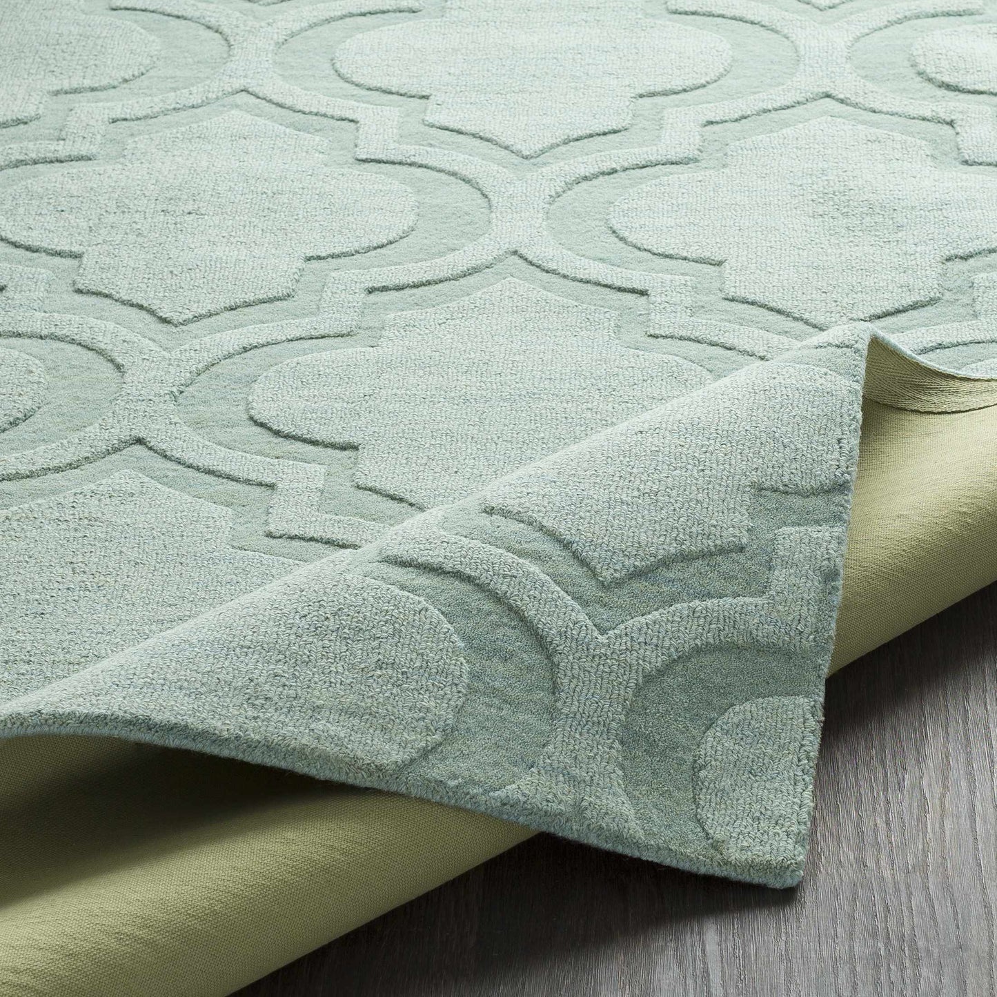 Central Park AWHP-4011 Hand Loomed Rug