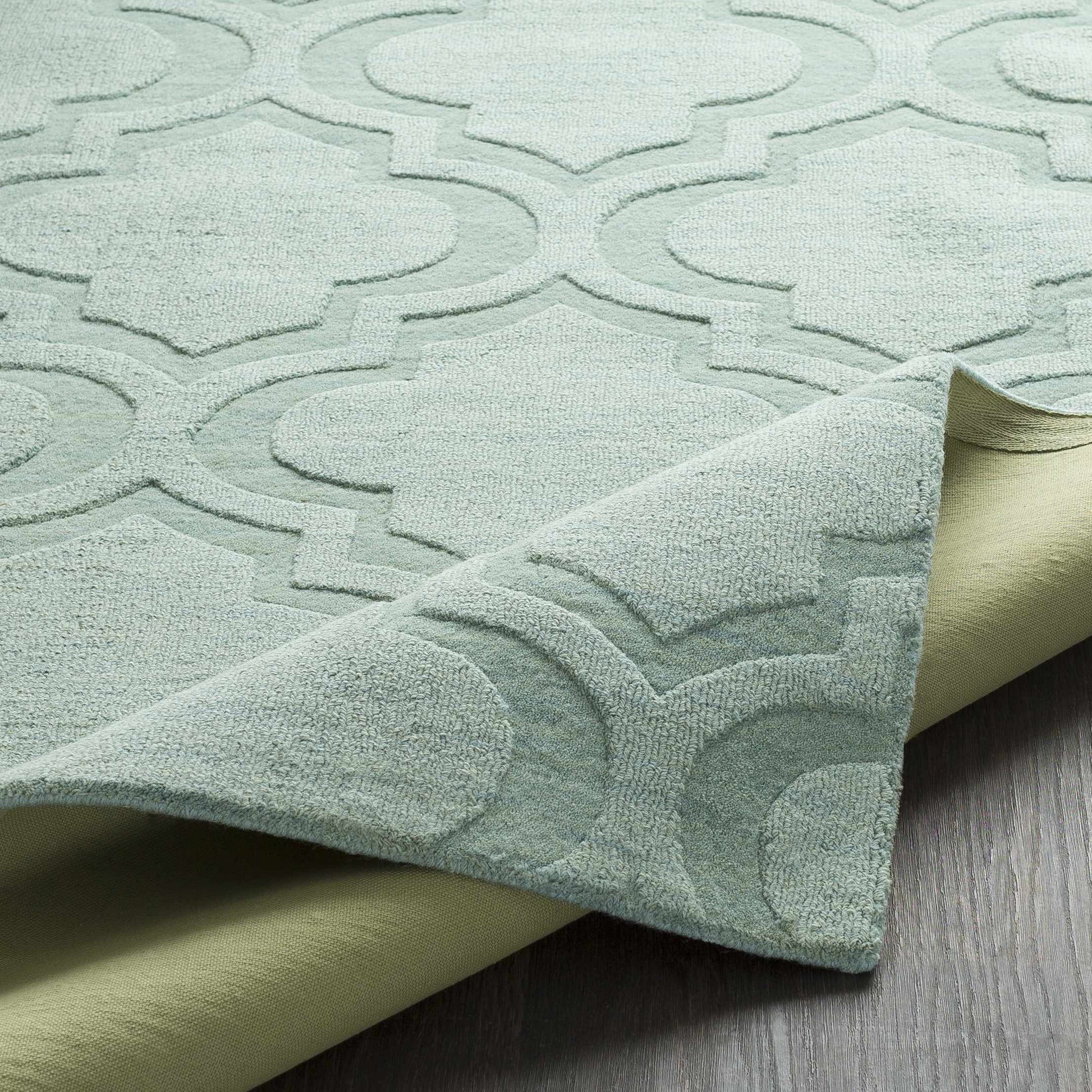 Central Park AWHP-4011 Hand Loomed Rug