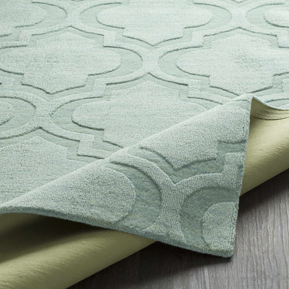 Central Park AWHP-4011 Hand Loomed Rug