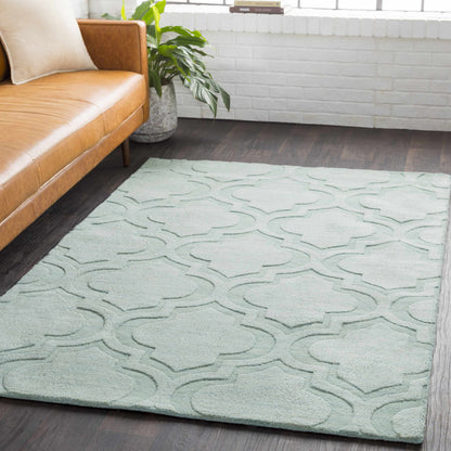 Central Park AWHP-4011 Hand Loomed Rug