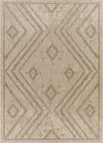Tuareg TRG-2313 Machine Woven Rug