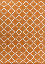 Frontier FT-448 Hand Woven Rug