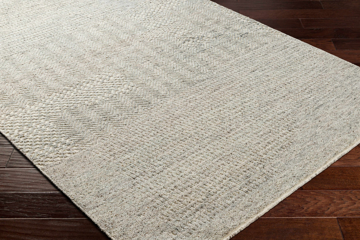 Rugs : TUN-2312