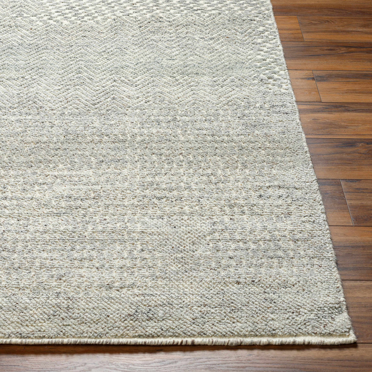 Rugs : TUN-2312