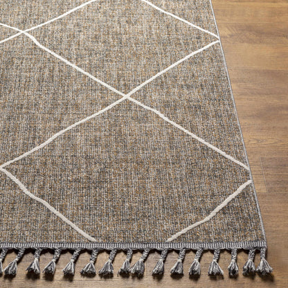 Palermo PLR-2303 Machine Woven Rug