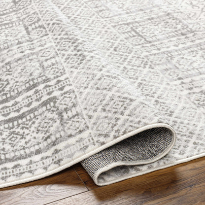 Pisa PSS-2344 Machine Woven Rug