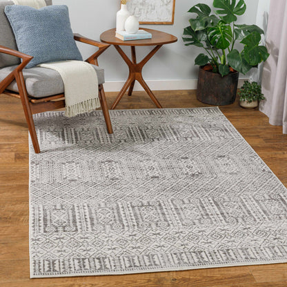 Pisa PSS-2344 Machine Woven Rug