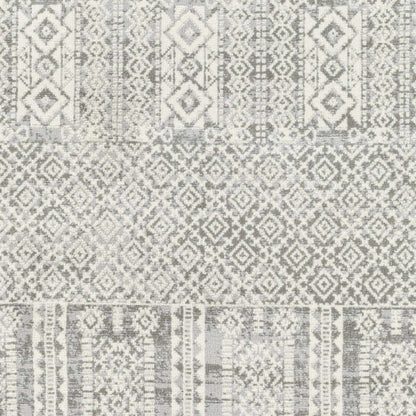 Pisa PSS-2344 Machine Woven Rug