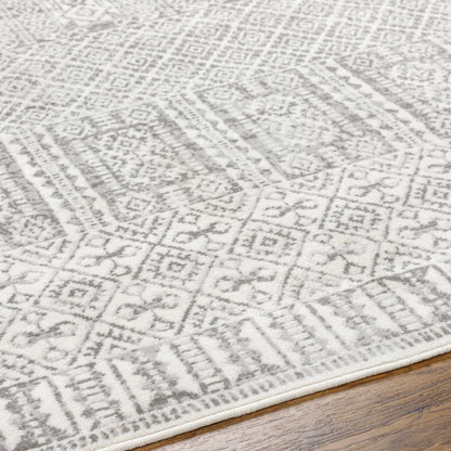 Pisa PSS-2344 Machine Woven Rug
