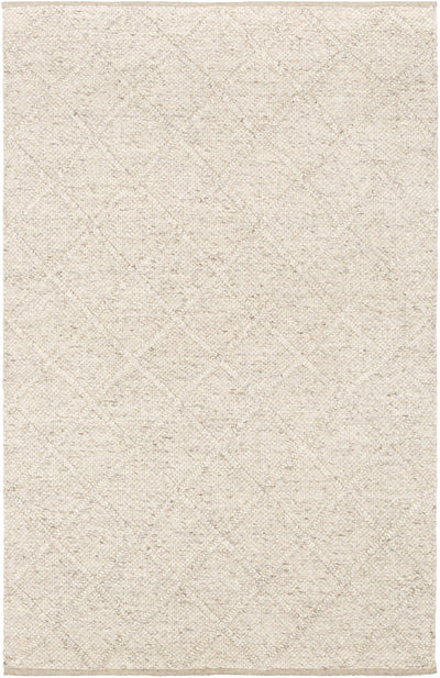 Light Beige Hand Woven 70% Wool, 30% Viscose Modern Rectangle Handmade rug, Indoor use only, no fringe, non-washable. runner also available