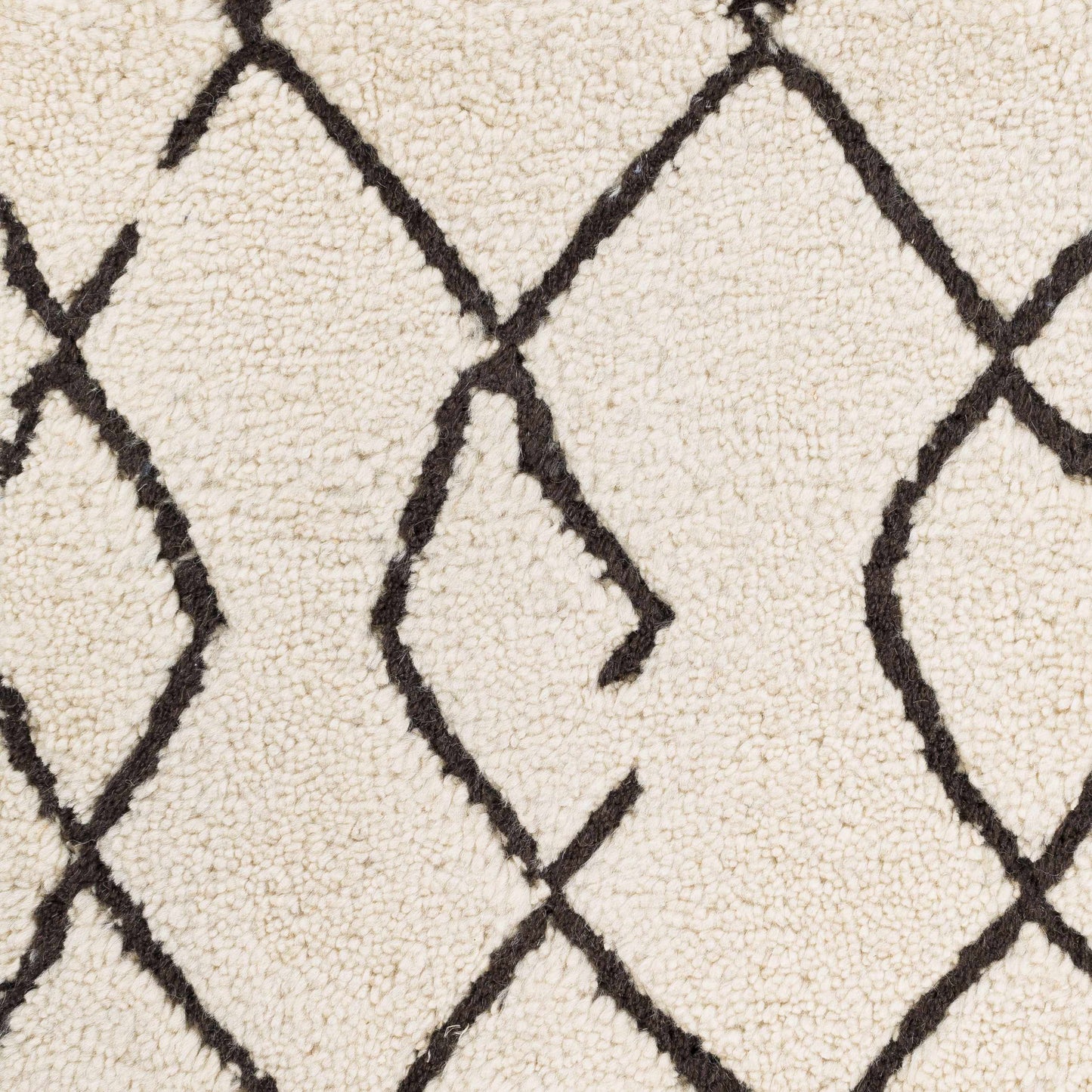 Javier JAV-1001 Hand Knotted Rug