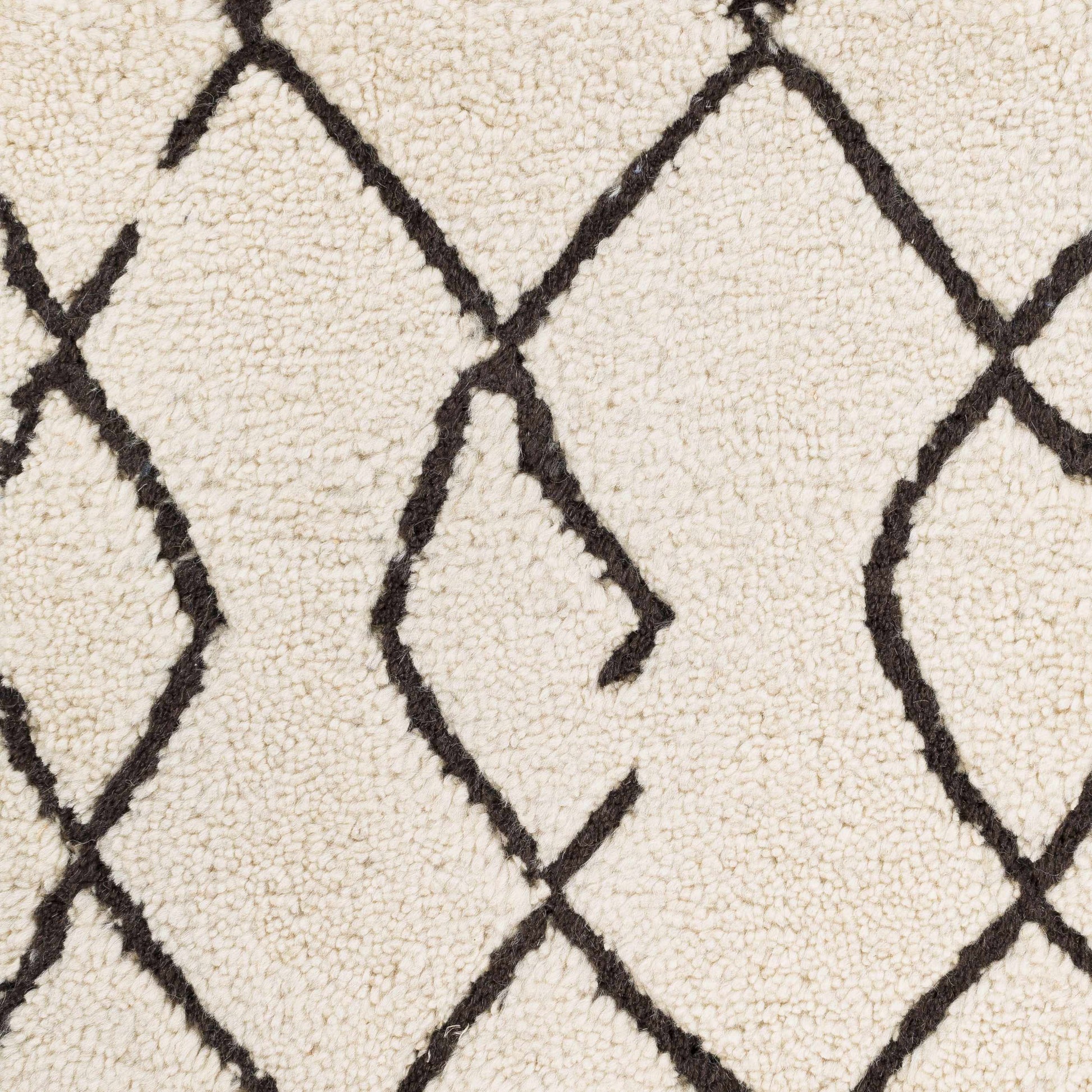 Javier JAV-1001 Hand Knotted Rug