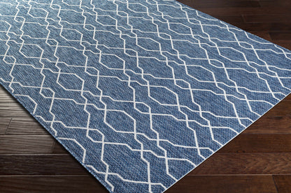Eagean EAG-2381 Machine Woven Rug