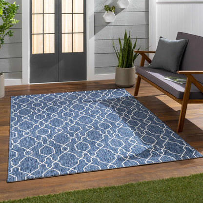 Eagean EAG-2381 Machine Woven Rug