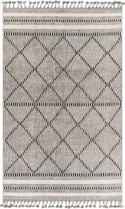 Palermo PLR-2301 Machine Woven Rug