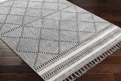 Palermo PLR-2301 Machine Woven Rug