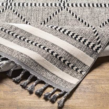 Palermo PLR-2301 Machine Woven Rug