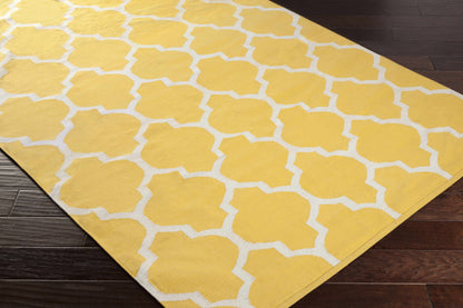 Vogue AWLT-3009 Hand Woven Rug