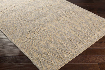 Newcastle NCS-2317 Hand Tufted Rug