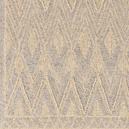 Newcastle NCS-2317 Hand Tufted Rug