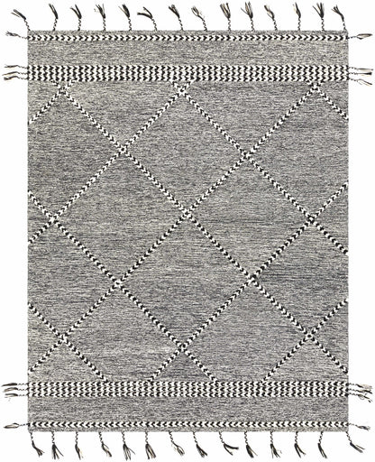 Zanafi Tassels ZTS-2307 Hand Tufted Rug