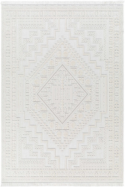 Broadway BWY-2300 Machine Woven Rug