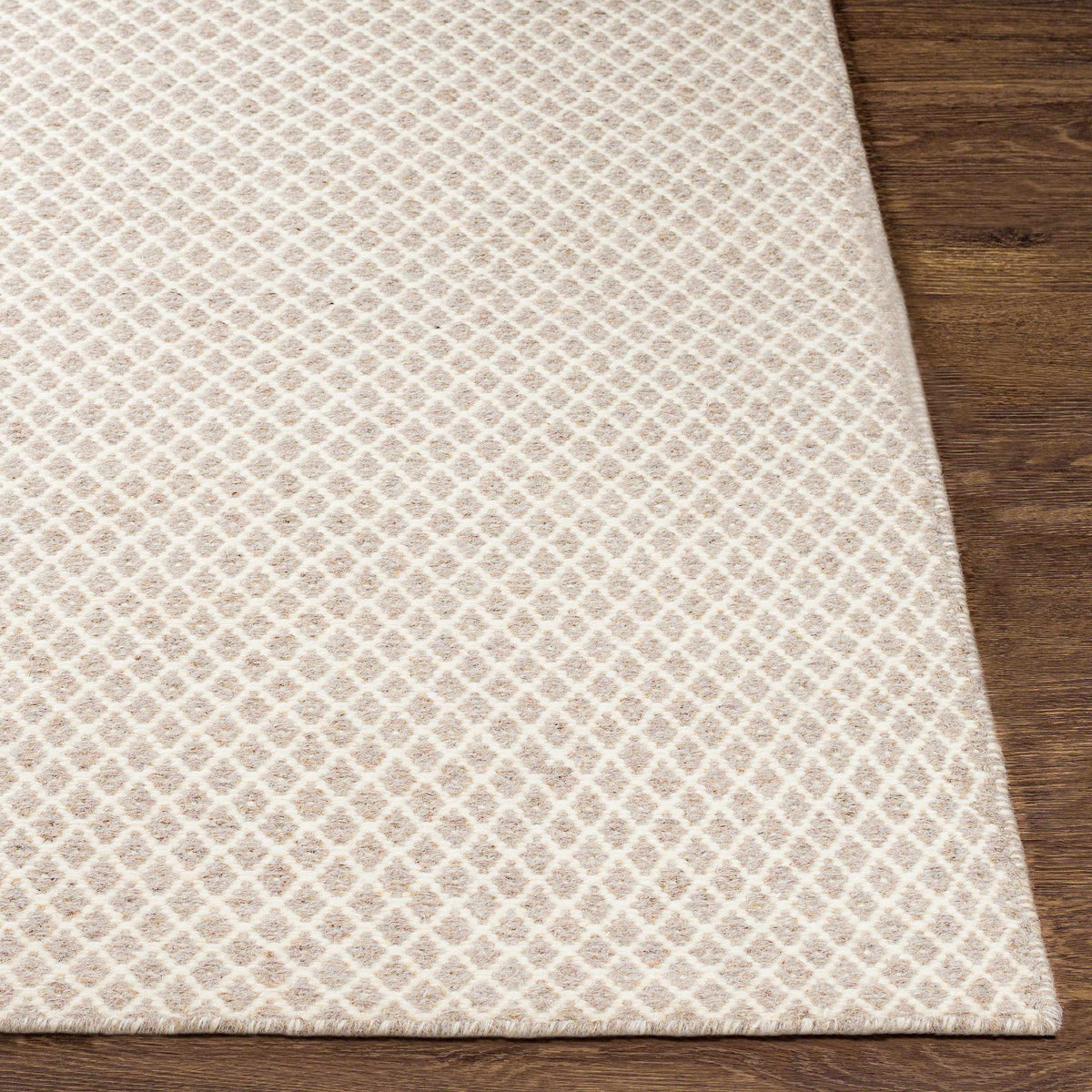 Ravena RVN-3003 Hand Woven Rug