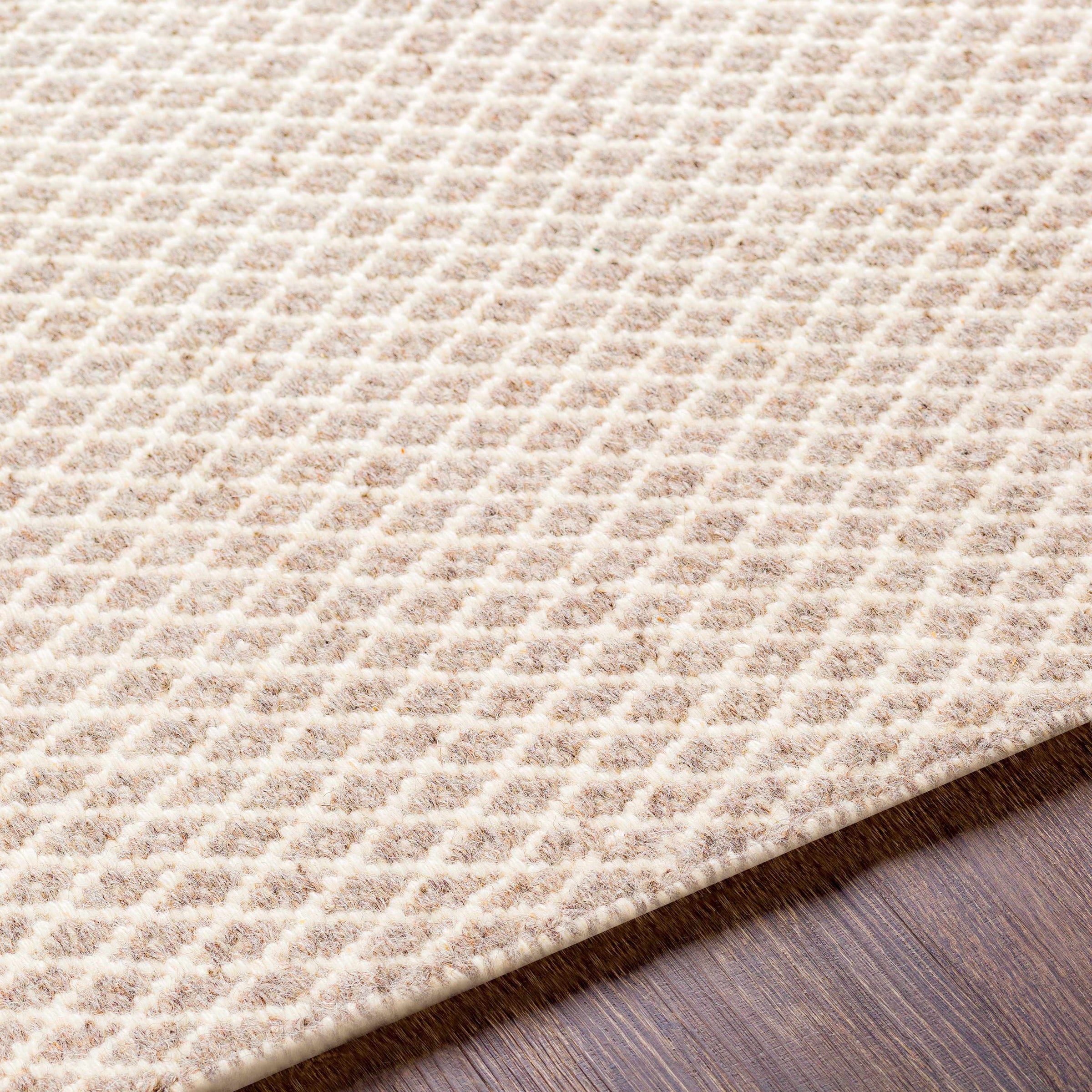 Ravena RVN-3003 Hand Woven Rug