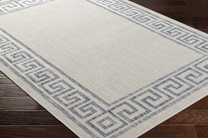 Tuareg TRG-2379 Machine Woven Rug