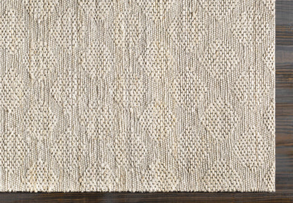 Trace TCE-2304 Hand Woven Rug