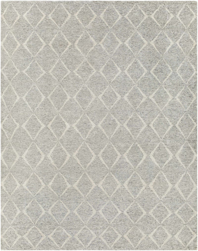 Gray Hand Knotted 70% Wool, 30% Viscose Global Rectangle Handmade rug, Indoor use only, no fringe, non-washable. runner also available
