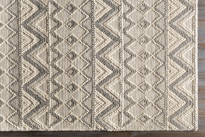 Hygge HYG-2304 Hand Woven Rug