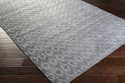 Castlebury CBY-7005 Hand Woven Rug