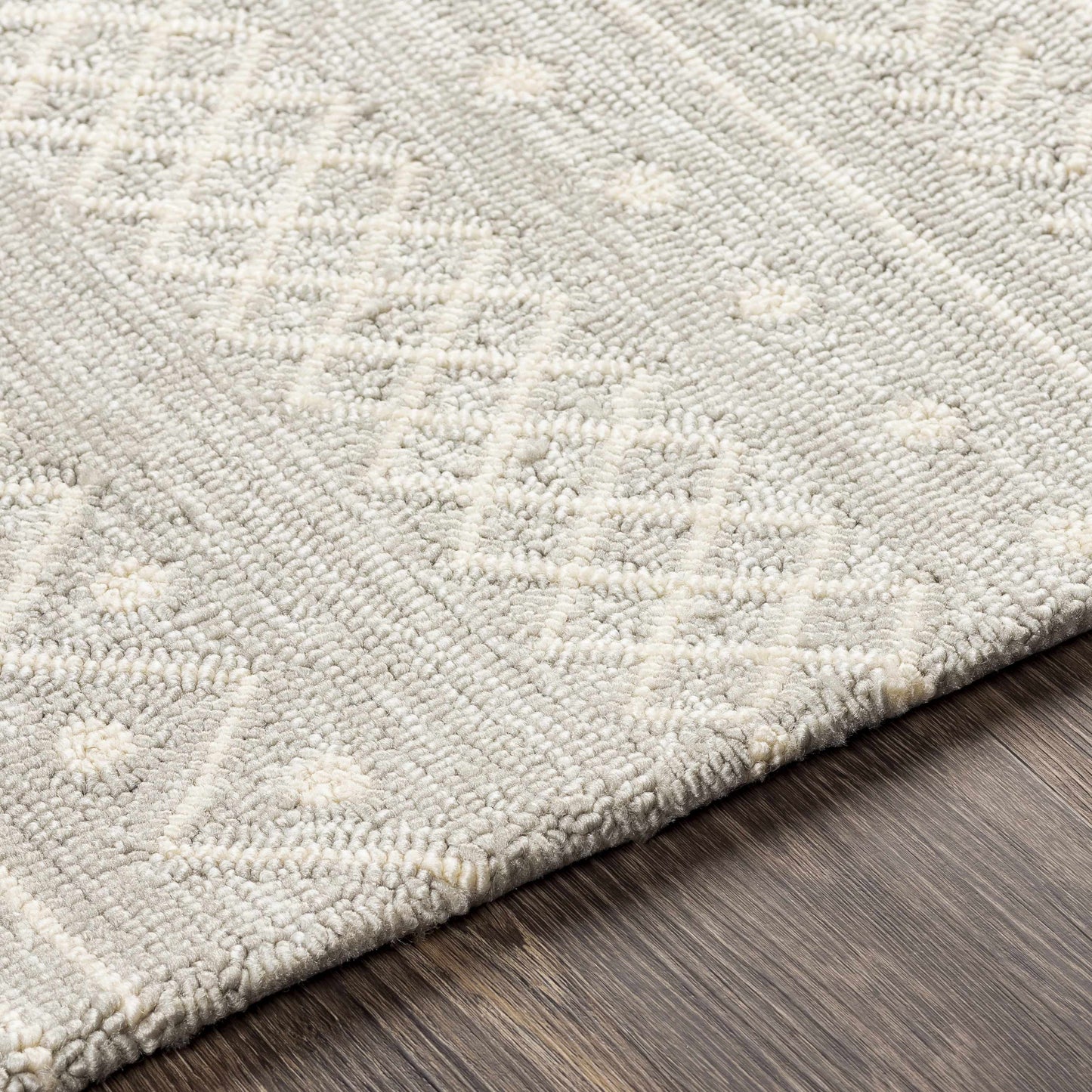 Rain RAI-1288 Hand Hooked Rug