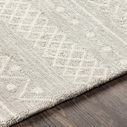 Rain RAI-1288 Hand Hooked Rug