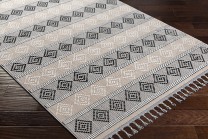 Palermo PLR-2305 Machine Woven Rug