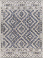 Tuareg TRG-2352 Machine Woven Rug