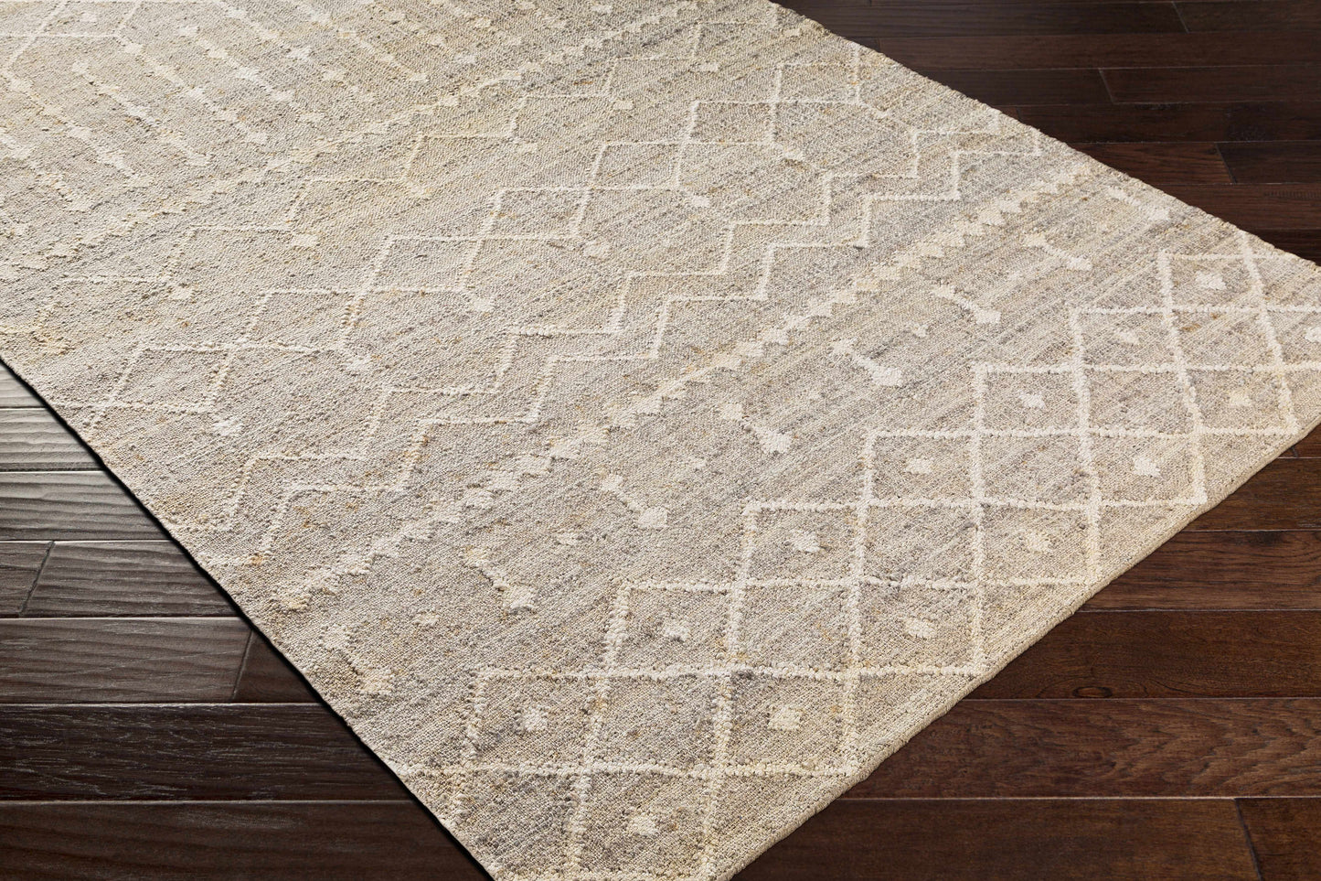 Cadence CEC-2304 Hand Woven Rug