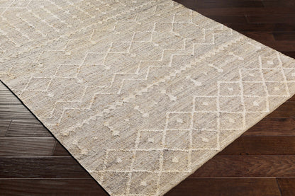 Cadence CEC-2304 Hand Woven Rug