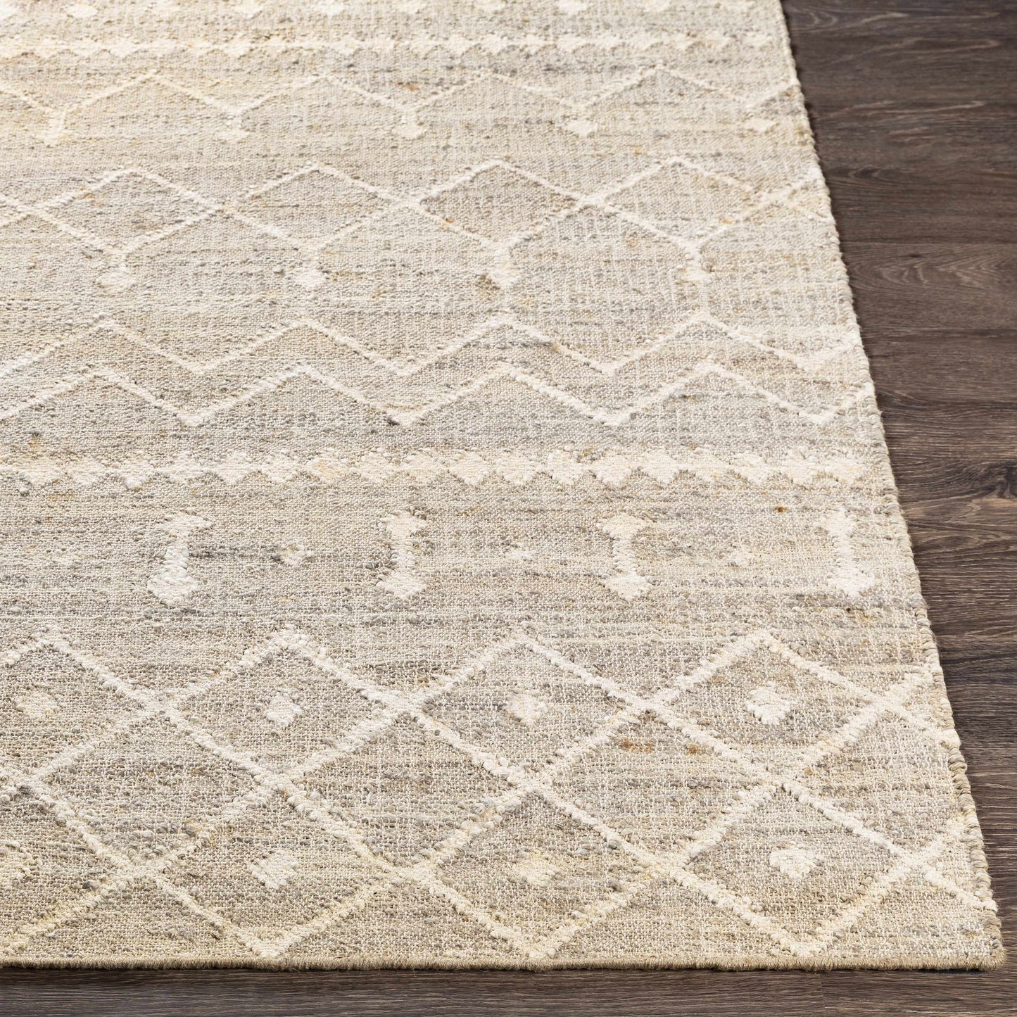 Cadence CEC-2304 Hand Woven Rug