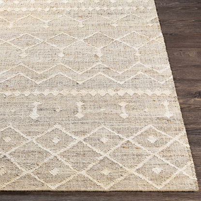 Cadence CEC-2304 Hand Woven Rug