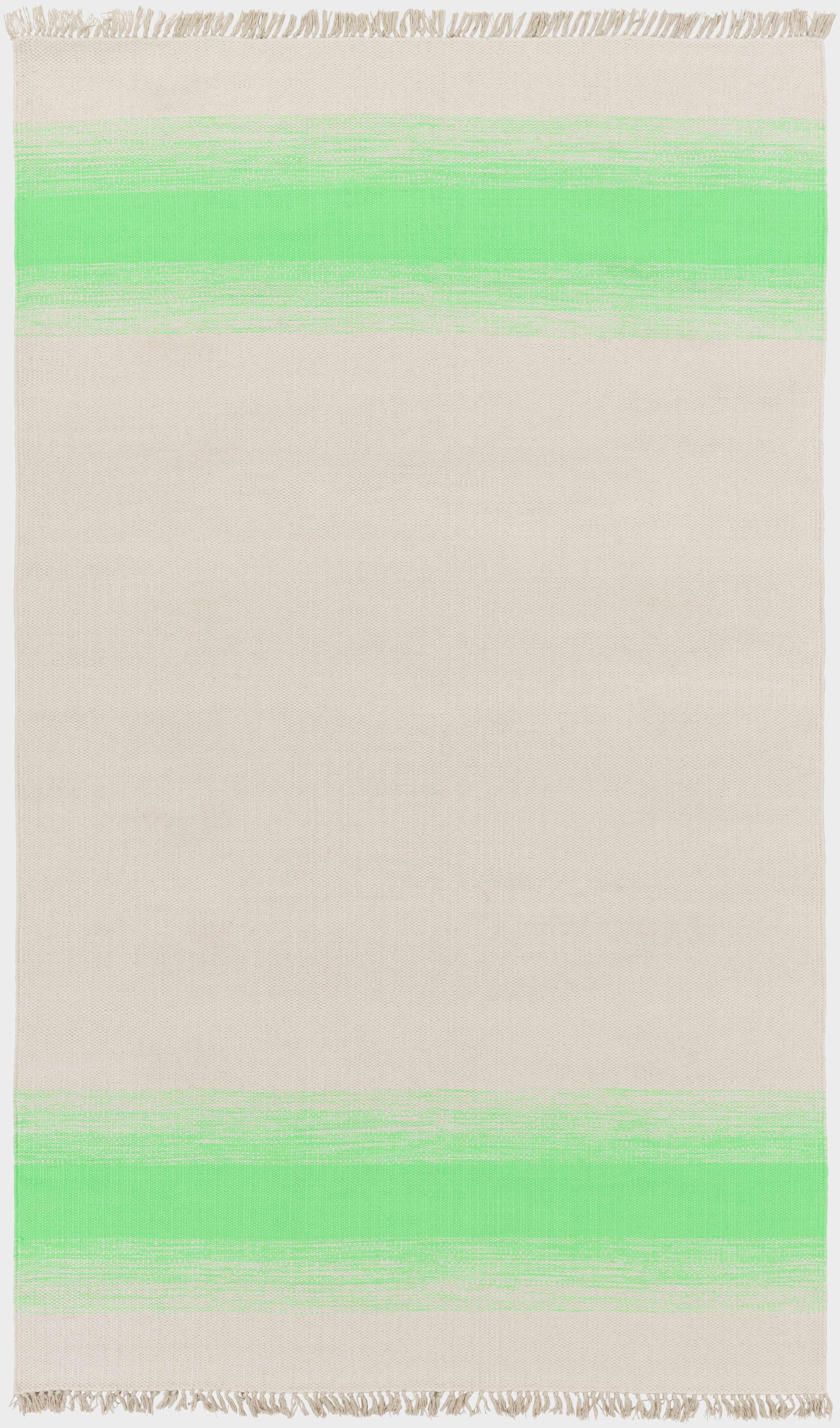 Green Hand Woven 34% Acrylic, 33% Cotton, 33% Polyester Cottage Rectangle Handmade rug, Indoor use only, no fringe, non-washable.