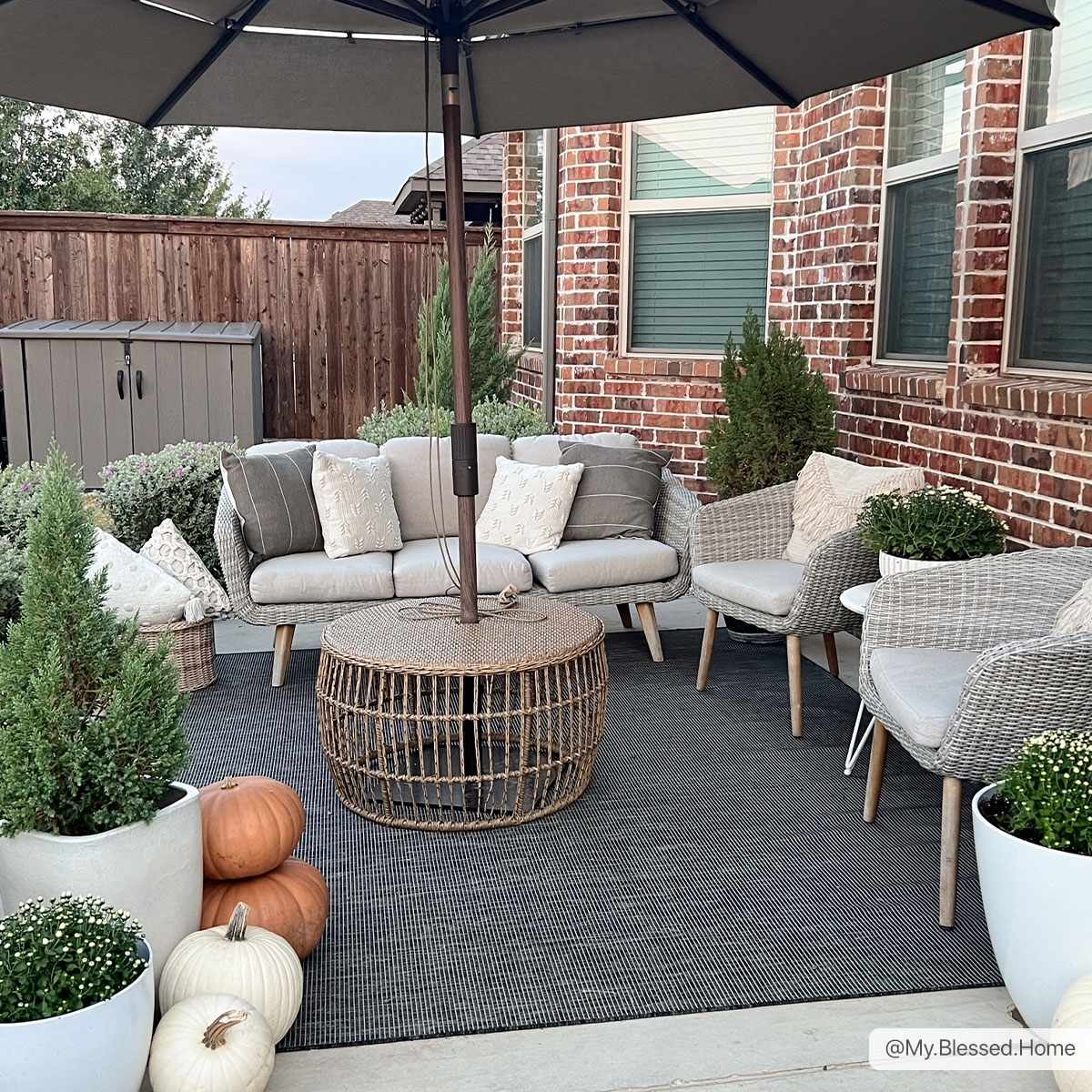 Pasadena PSA-2309 Machine Woven Rug