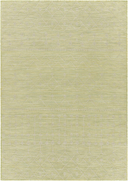 Pasadena PSA-2372 Machine Woven Rug
