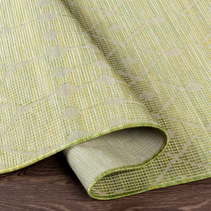 Pasadena PSA-2372 Machine Woven Rug